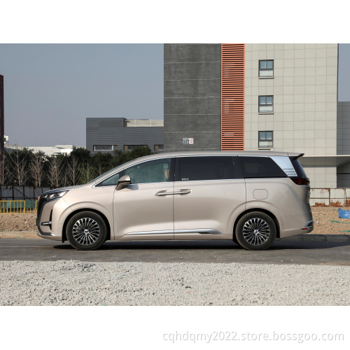 2023 Vendita calda di lusso Denza 7 posti MPV 600 km 4WD EV Nuovo veicolo energetico 4WD DENZA 5 porte